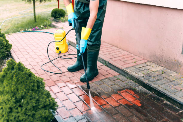 Best Commercial Building Pressure Washing  in La Feria, TX