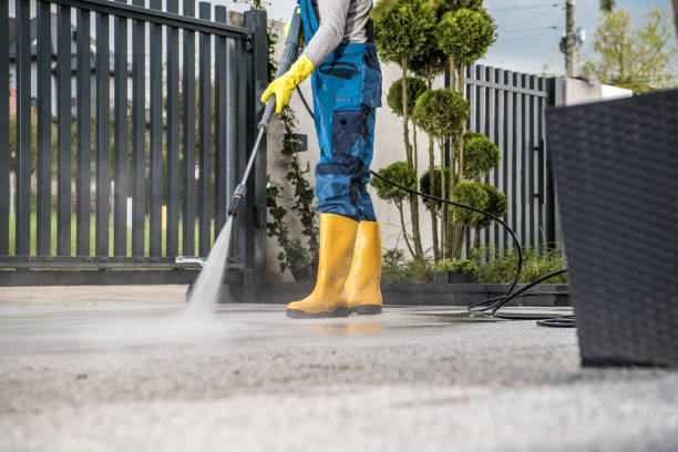 Best Garage Pressure Washing  in La Feria, TX