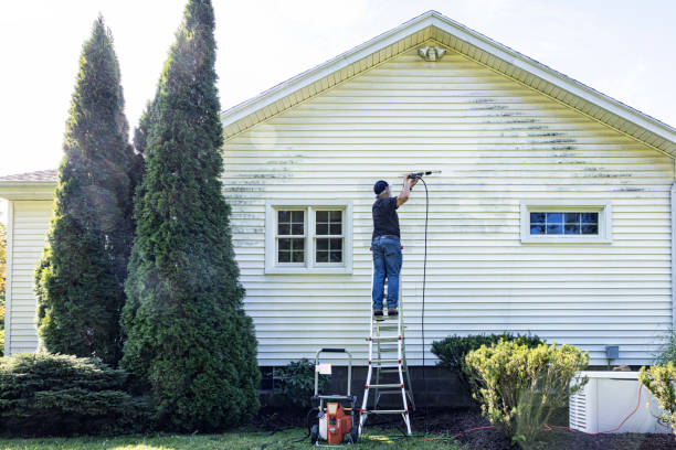 Best Residential Pressure Washing Services  in La Feria, TX