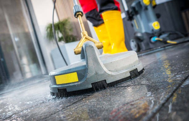 Best Roof Power Washing Services  in La Feria, TX