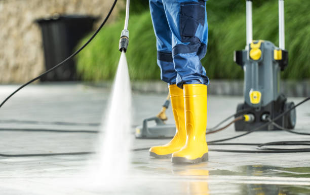 Best Roof Pressure Washing  in La Feria, TX