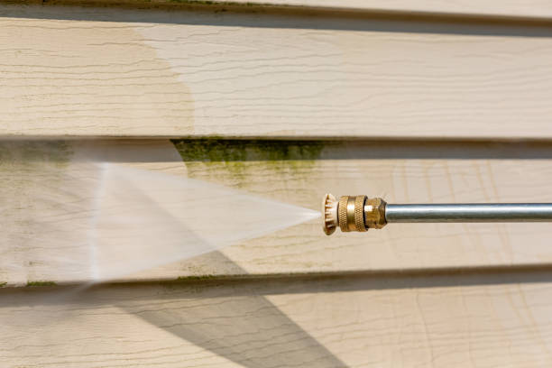 Best Exterior Home Cleaning  in La Feria, TX